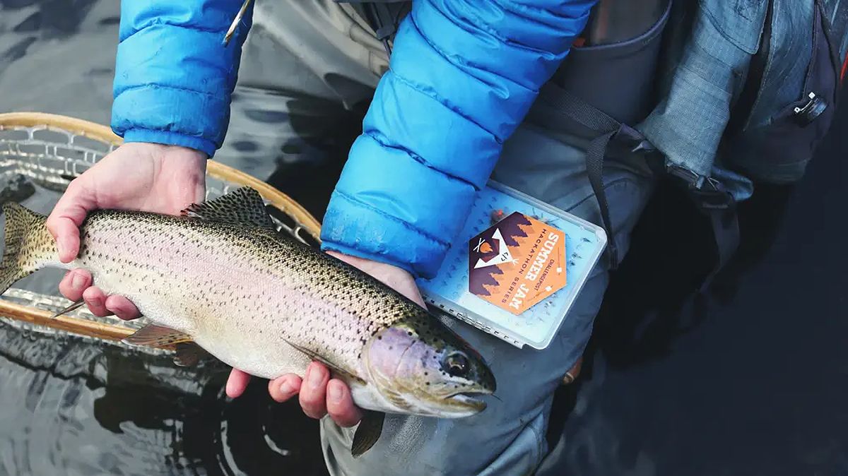 Mimpi Melihat Orang Lain Menjala Ikan